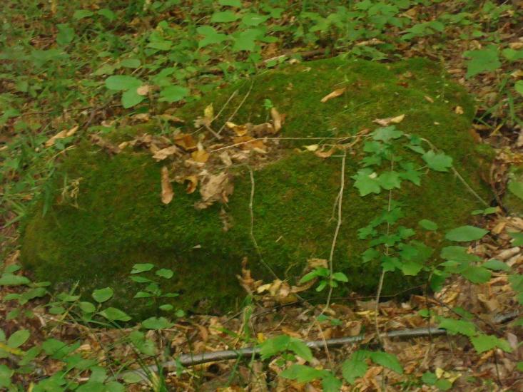 Маціорськ з panoramio.com - Маціорськ