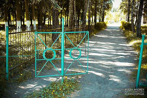 Блистова(фото з інтернету) - Блистова