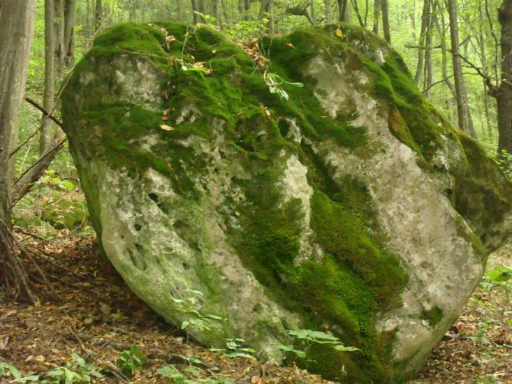 Любомирівка з panoramio.com - Любомировка