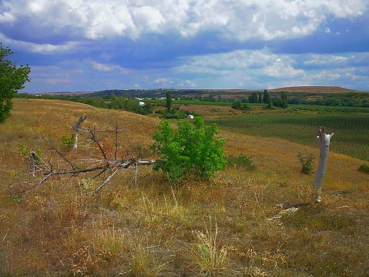Шевченкове з panoramio.com - Шевченково