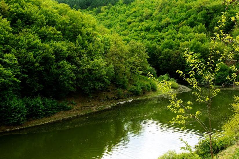 Врублівці з panoramio.com - Врублевцы