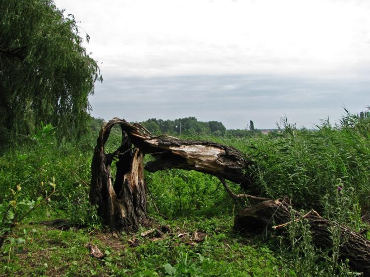 Кринички з panoramio.com - Кринички