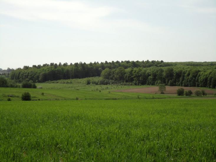Яблунів з panoramio.com - Яблунів