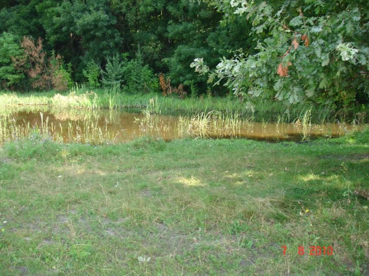 Динівці з panoramio.com - Диновцы