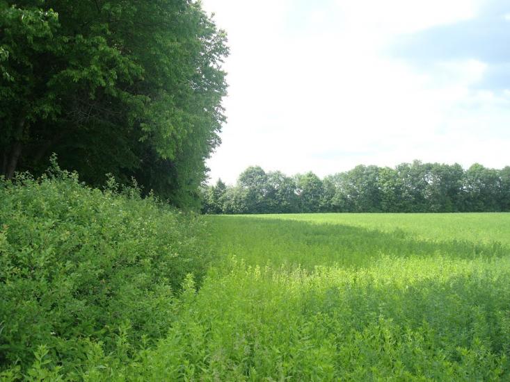 Мала Стружка з panoramio.com - Мала Стружка