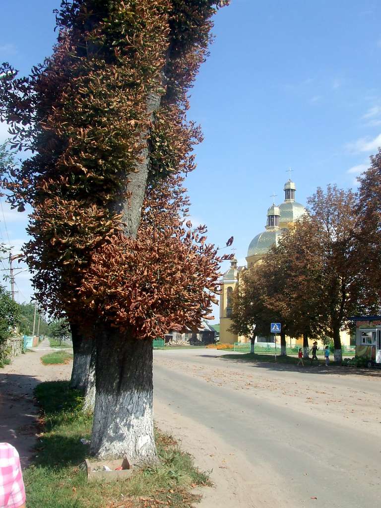 храм Святого Духа - Жвирка