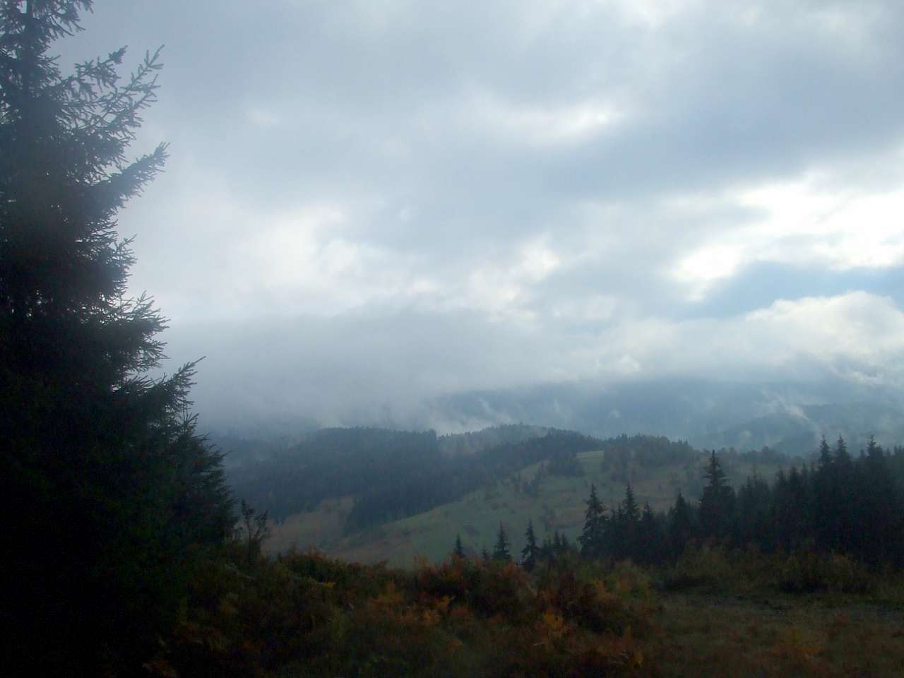Краєвид - Вишків