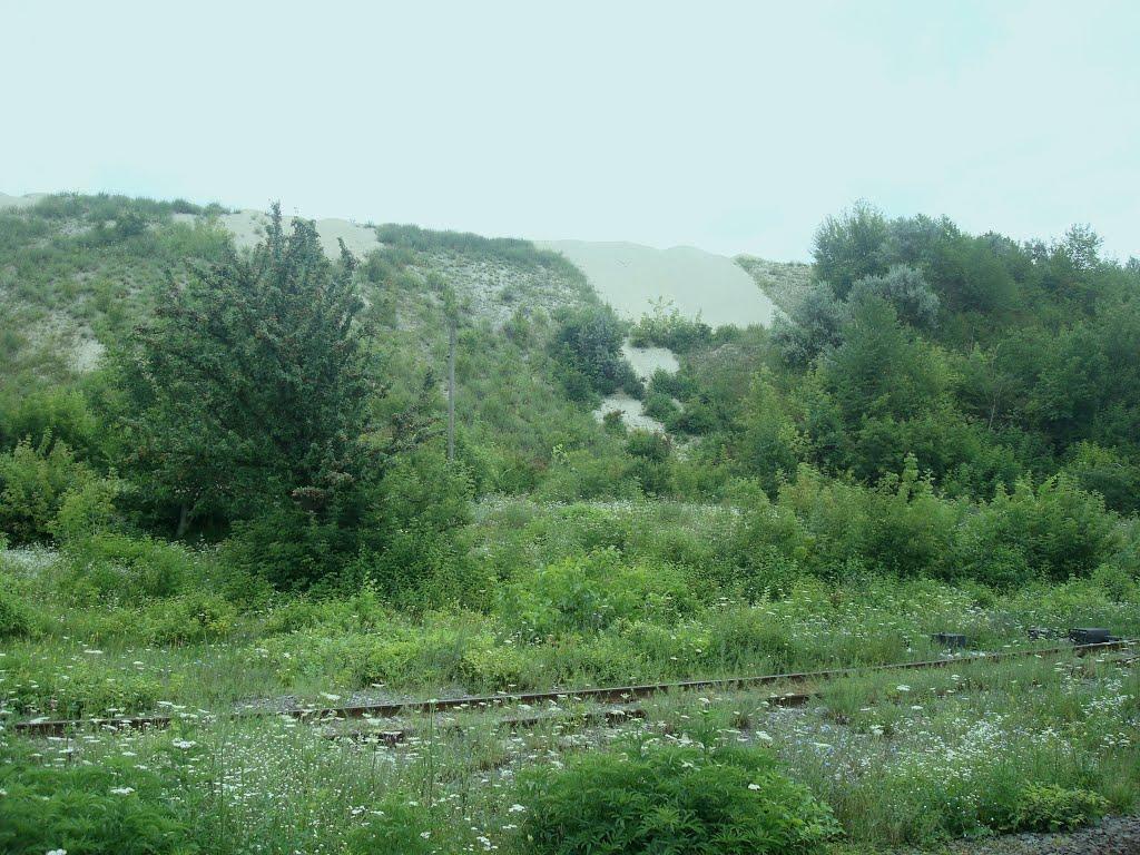 Сахкамінь з panoramio.com - Сахкамень