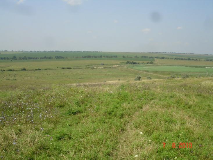 Динівці з panoramio.com - Динівці