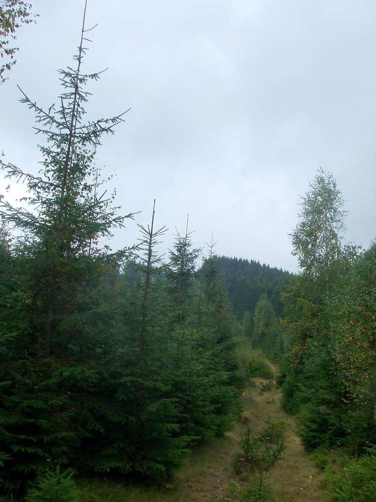 Краєвид - Вишків