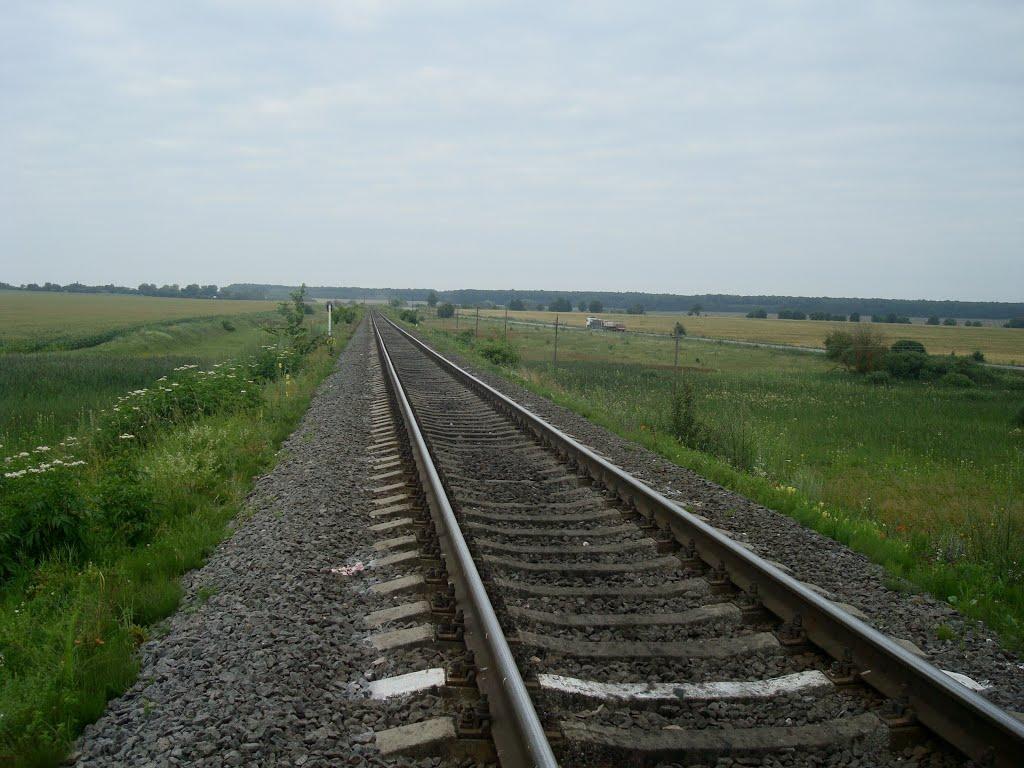 Стара Гута з panoramio.com - Старая Гута