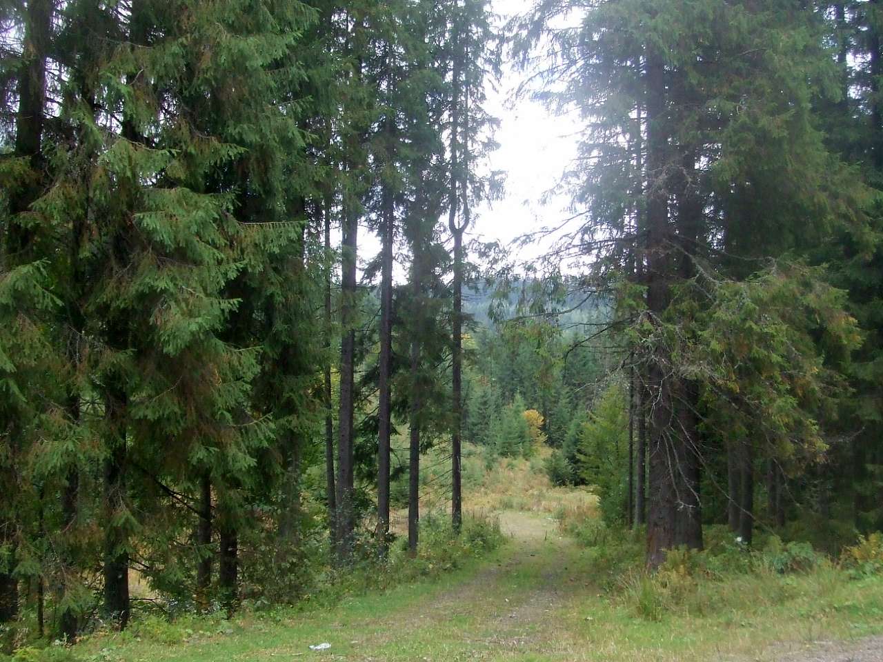 Краєвид - Vyshkiv