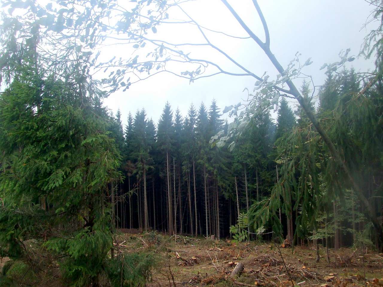 Краєвид - Вышков