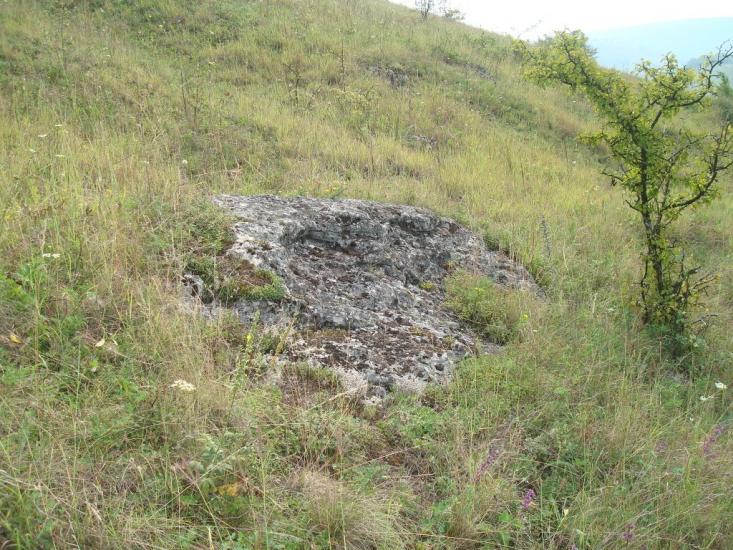 Маціорськ з panoramio.com - Мациорск
