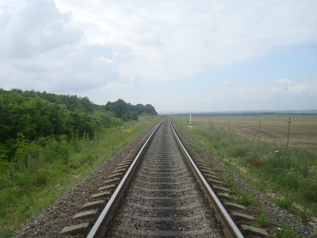 Сахкамінь з panoramio.com - Сахкамень