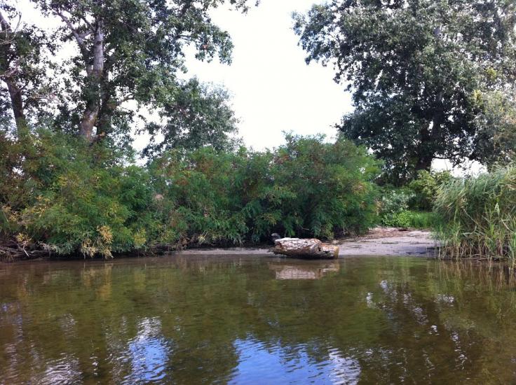Кізомис з panoramio.com - Kizomys