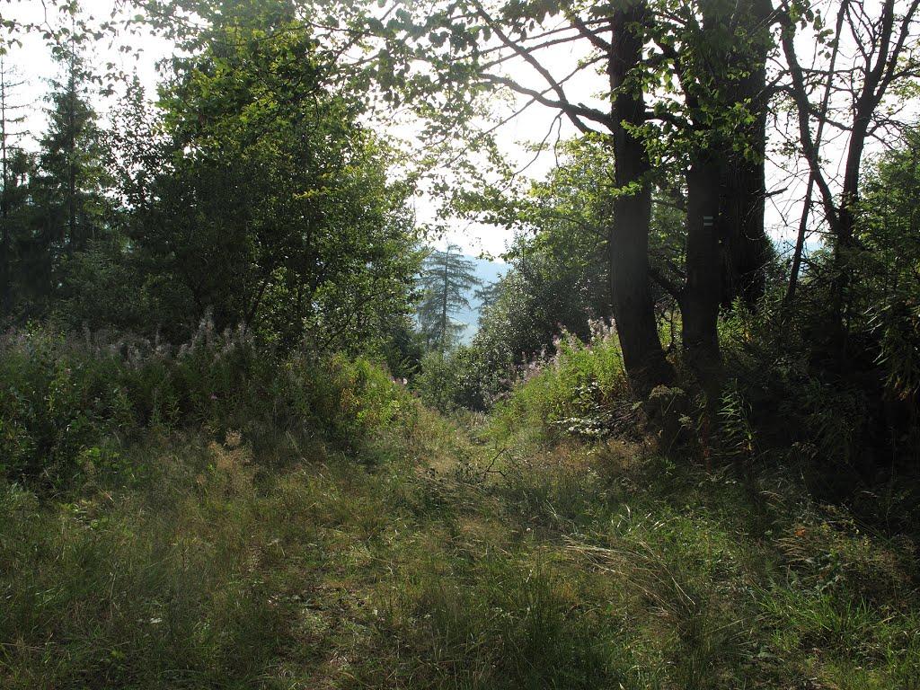 Гусний з panoramio.com - Гусний