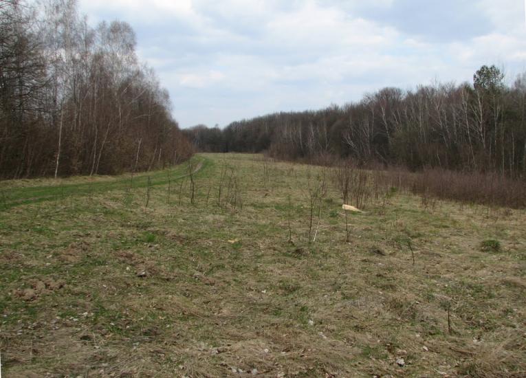 Гавареччина з panoramio.com - Гаваретчина