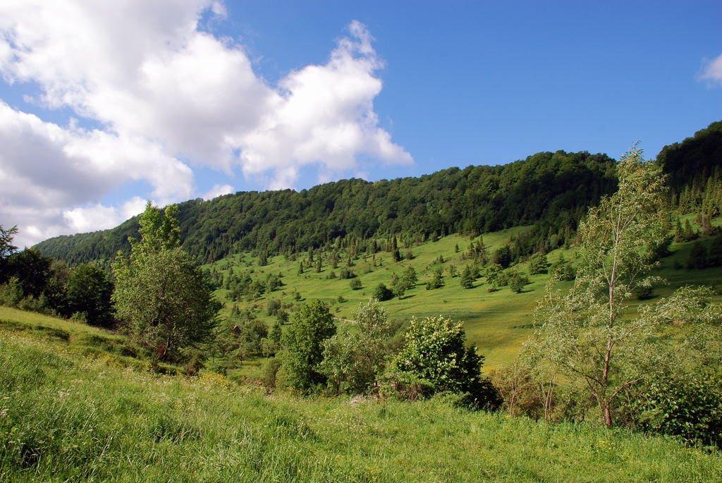 Гусний з panoramio.com - Гусний