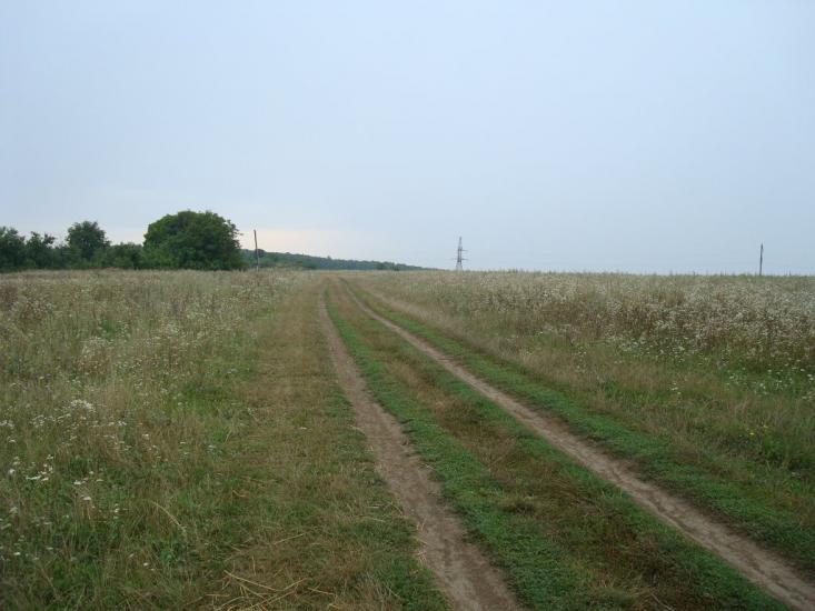 Вільховець з panoramio.com - Ольховец