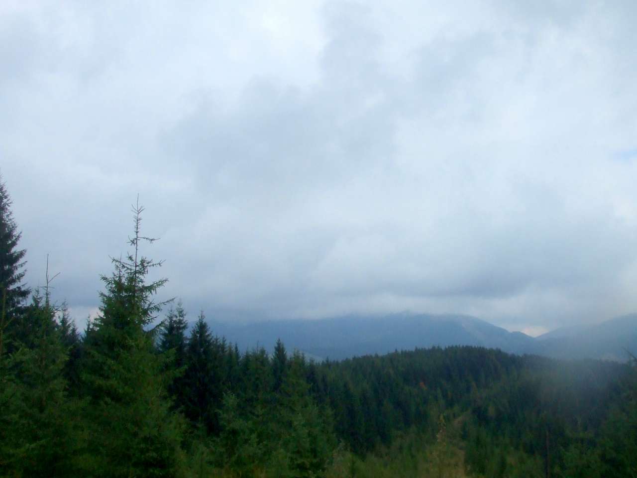 Краєвид - Вышков