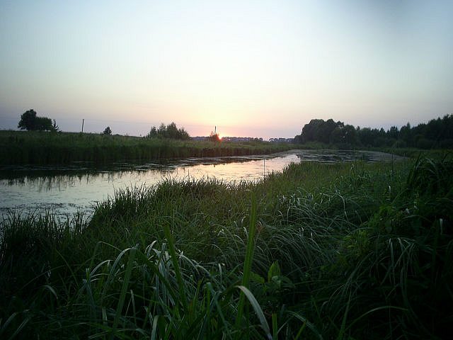 більковці - Більківці