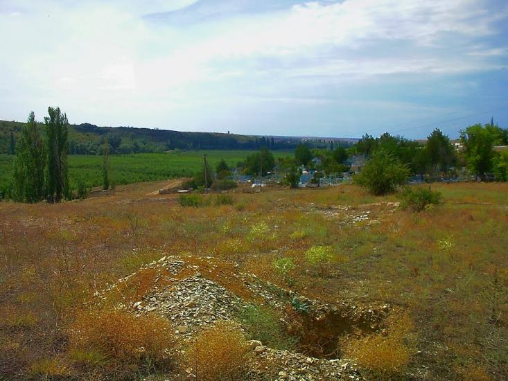 Шевченкове з panoramio.com - Шевченково