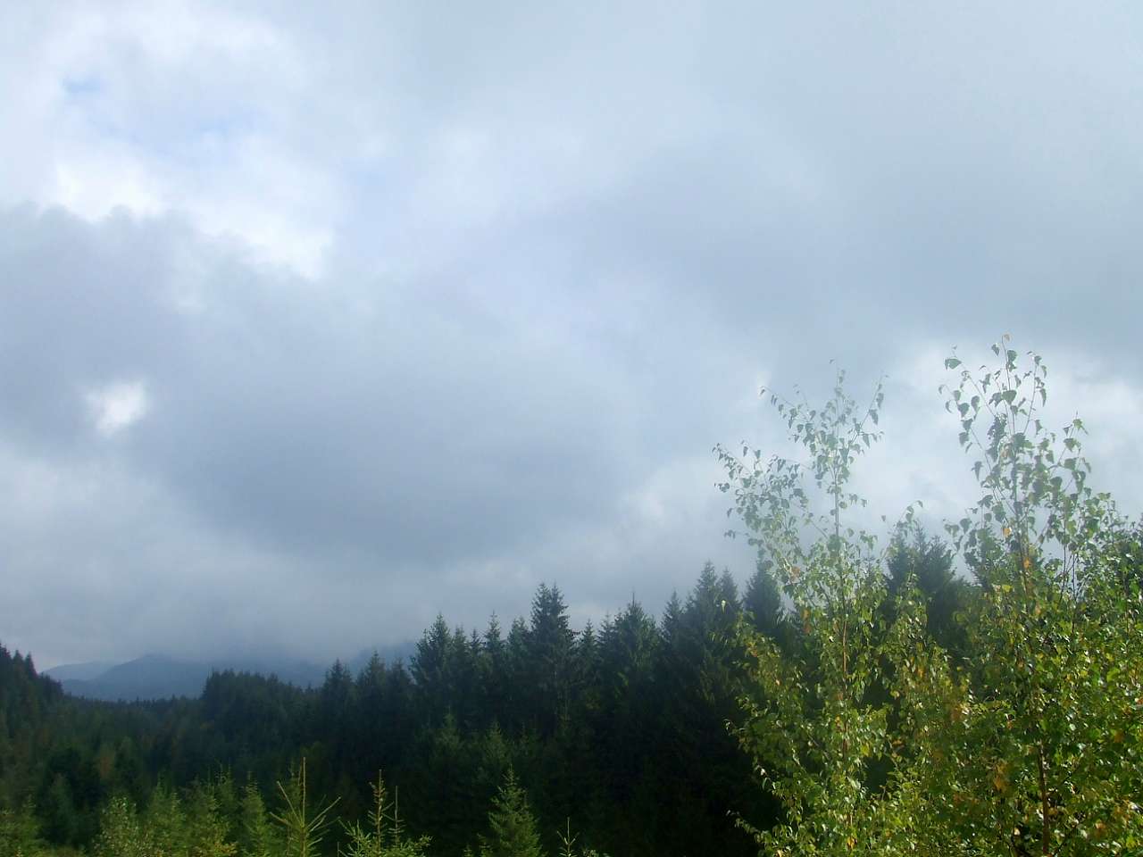 Краєвид - Вишків