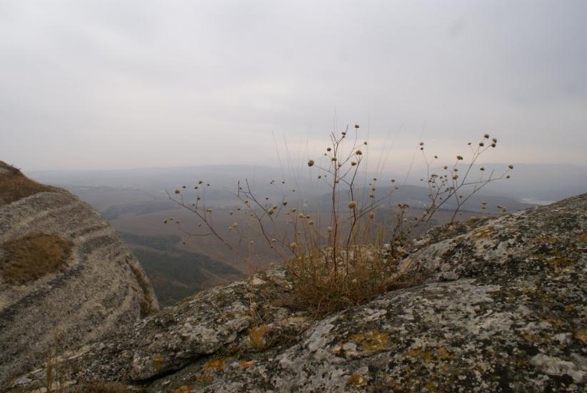 Приятне Свідання з panoramio.com - Приятне Свідання