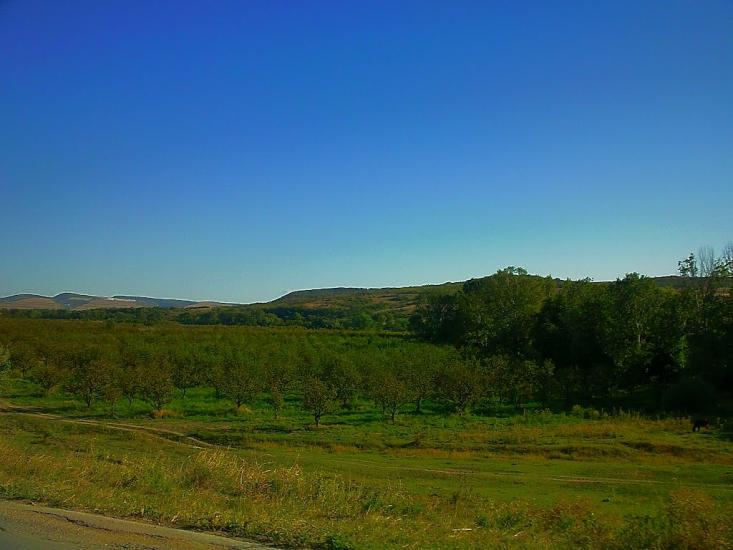 Шевченкове з panoramio.com - Шевченково