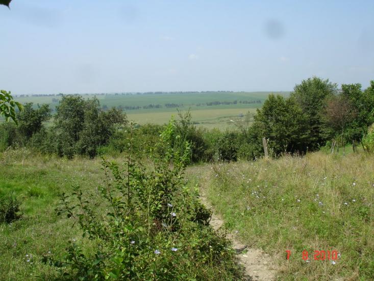 Динівці з panoramio.com - Динівці