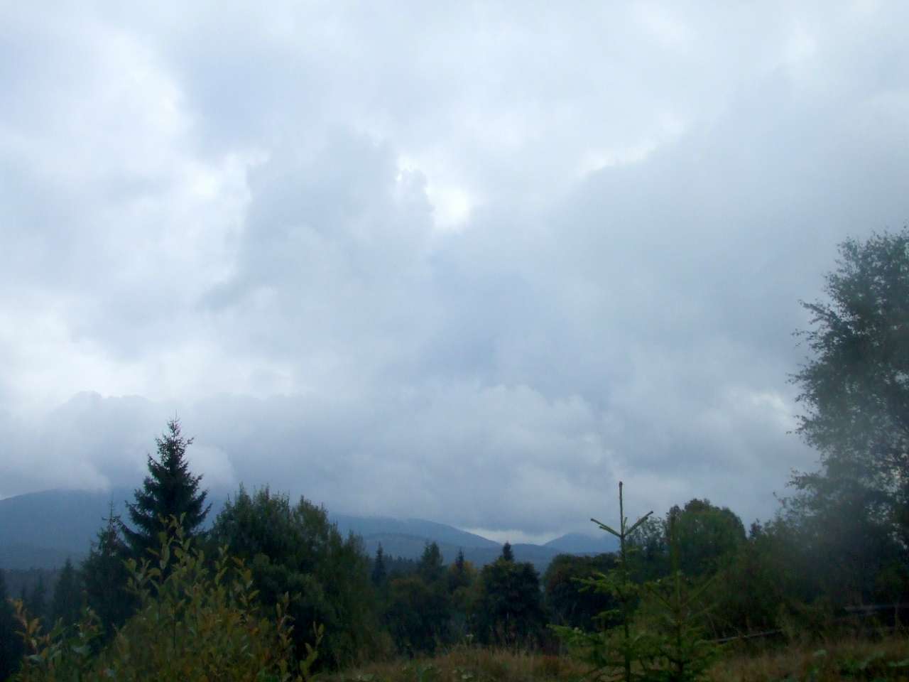 Краєвид - Вышков