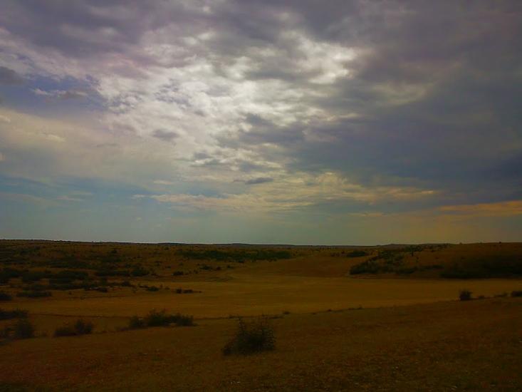 Каштани з panoramio.com - Каштани