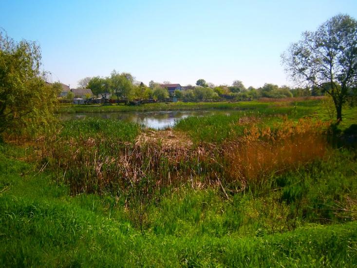 Гатне з panoramio.com - Gatne