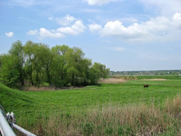 Кринички з panoramio.com - Кринички