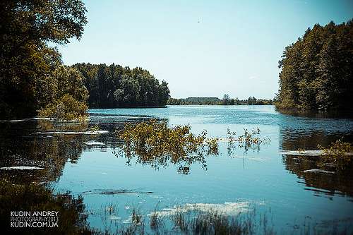Блистова(фото з інтернету) - Блистова
