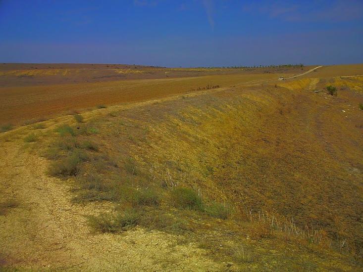 Шевченкове з panoramio.com - Шевченково
