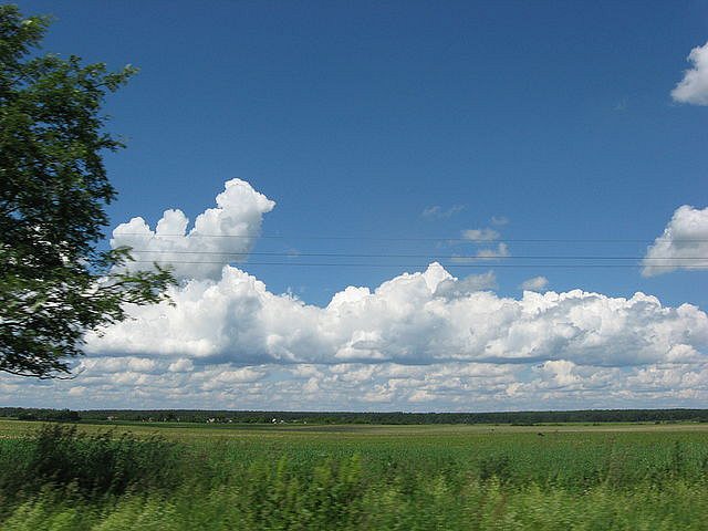 більковці - Більківці