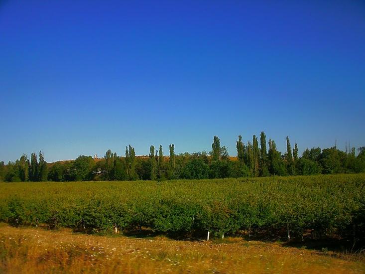 Віліне з panoramio.com - Viline