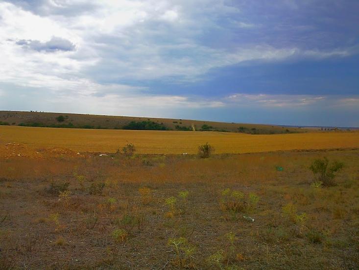 Каштани з panoramio.com - Каштани