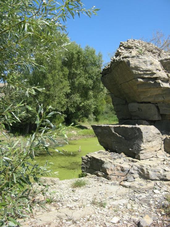 Коновка з panoramio.com - Коновка