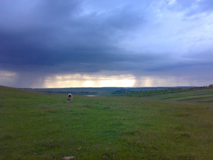Динівці з panoramio.com - Диновцы