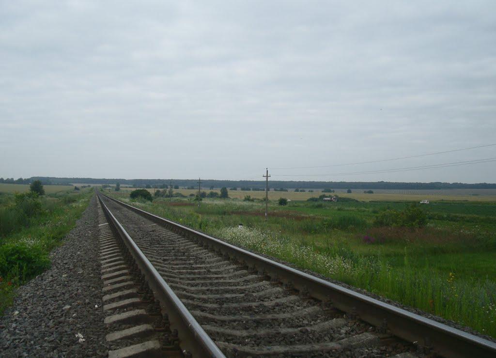 Стара Гута з panoramio.com - Старая Гута
