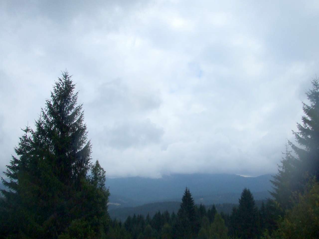 Краєвид - Вышков