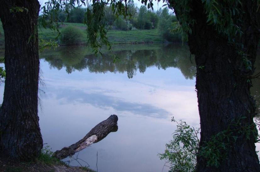 Струга з panoramio.com - Струга