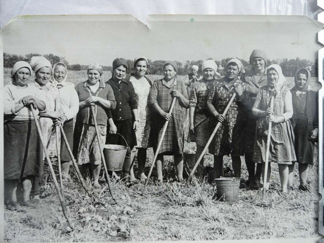 Старі фото - Курячі Лози