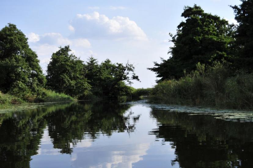 Кізомис з panoramio.com - Kizomys