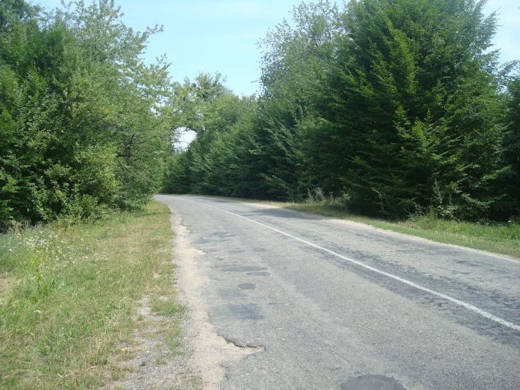 Струга з panoramio.com - Струга