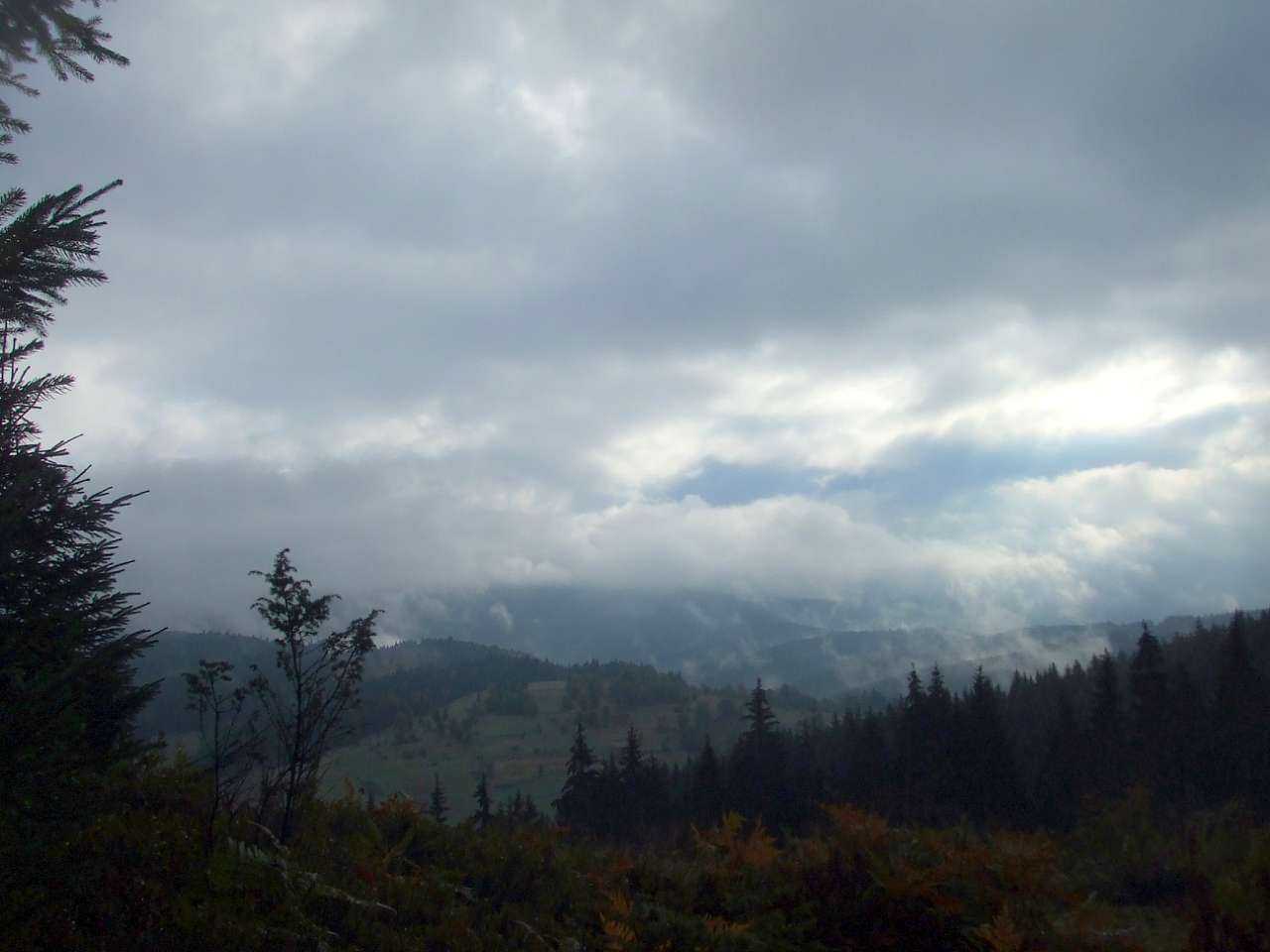 Краєвид - Вишків