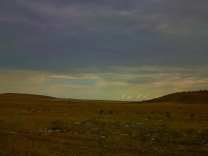 Каштани з panoramio.com - Каштани